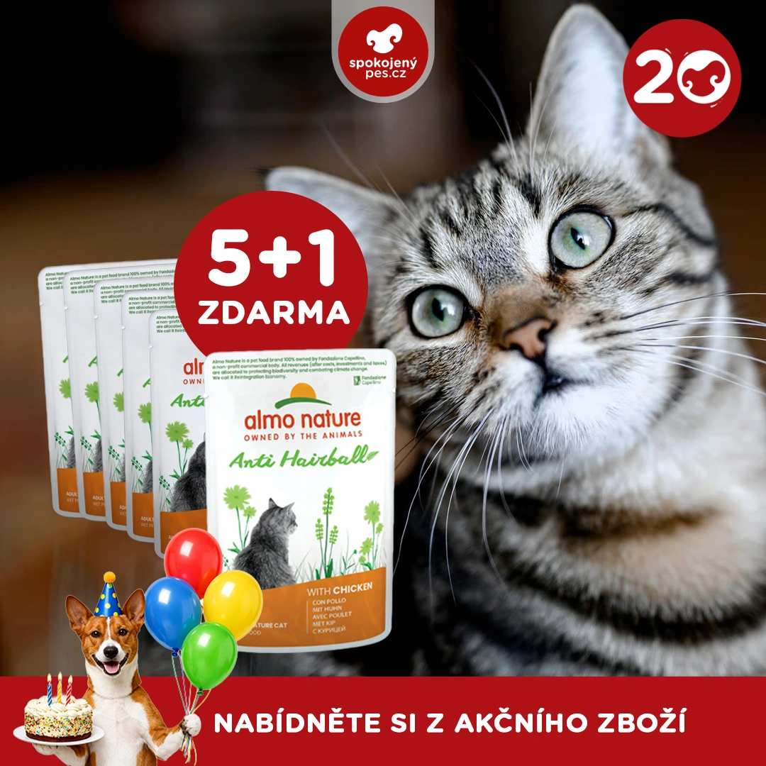 akční březen_21_CZ.webp